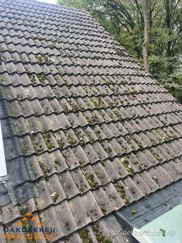 Verweerd pannendak met mosgroei dat renovatie nodig heeft in Naaldwijk Verweerd pannendak met mosgroei dat renovatie nodig heeft in Naaldwijk