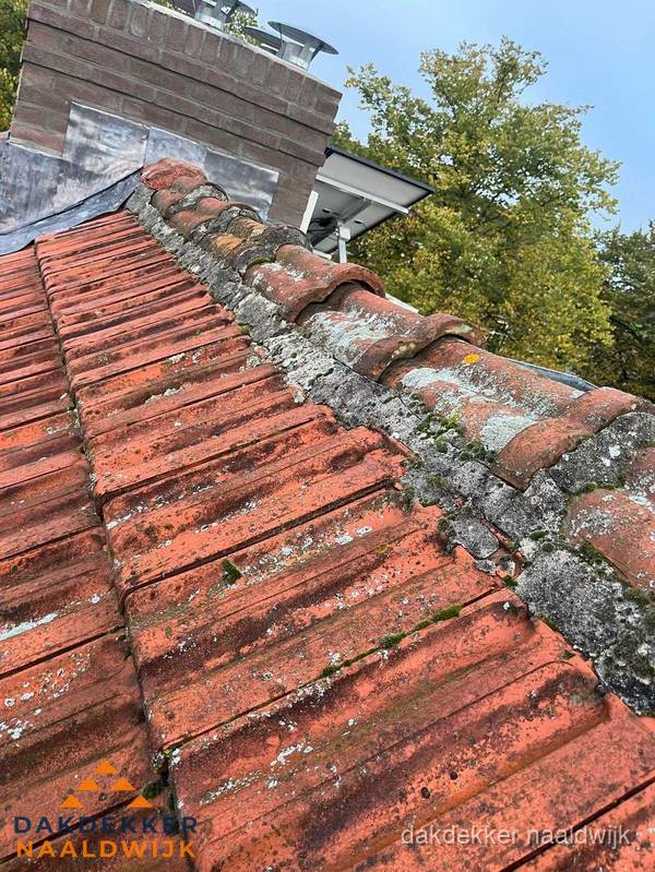 Verweerd hellend dak met mosgroei op nokvorst in Naaldwijk Verweerd hellend dak met mosgroei op nokvorst in Naaldwijk