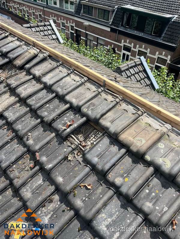 Dakonderhoud aan schuin pannendak met nokvernieuwing in Naaldwijk Dakonderhoud aan schuin pannendak met nokvernieuwing in Naaldwijk